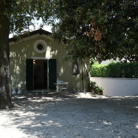 Peace-loving House 