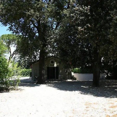 Peace-loving House 