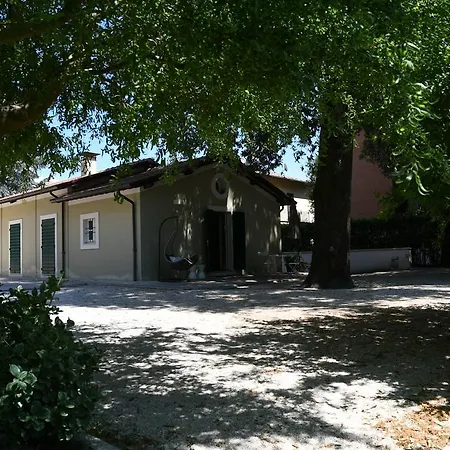 Peace-loving House 