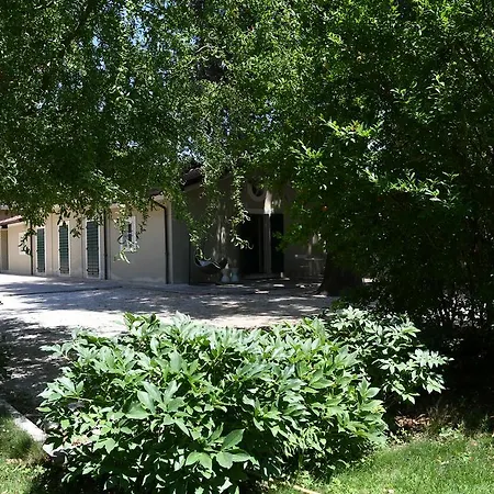 Peace-loving House 